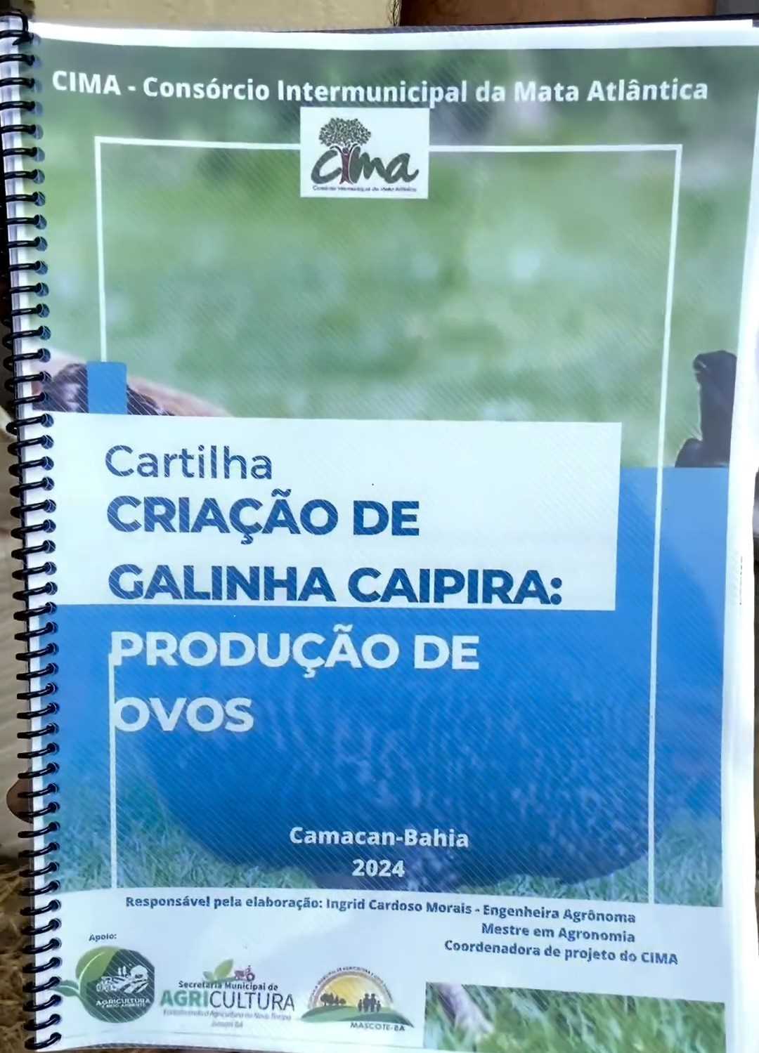 Camacã: Prefeitura distribui cerca de 1.300 pintainhos para produtores do Programa Criação de Galinha Caipira